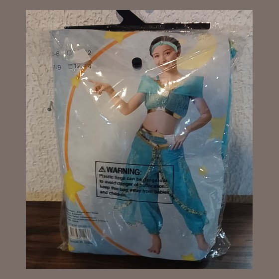 Fantasia Infantil Princesa Jasmine (Aladdin)