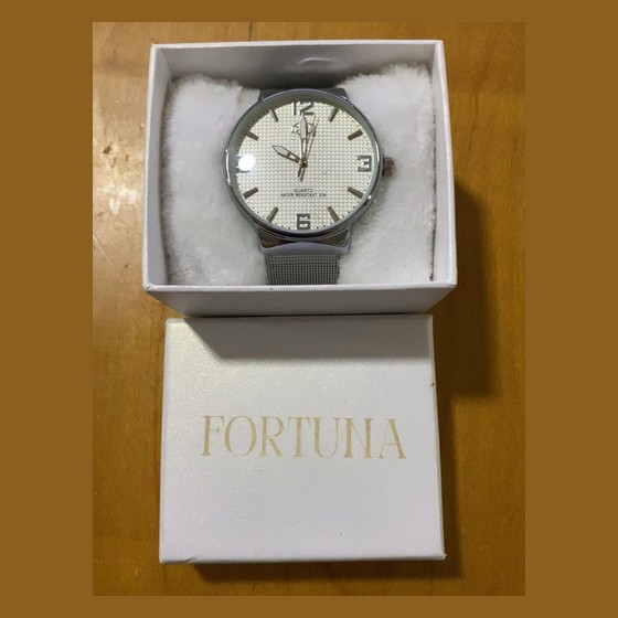 Relógio de Pulso Minimalista Fortuna Quartz Analógico Prata