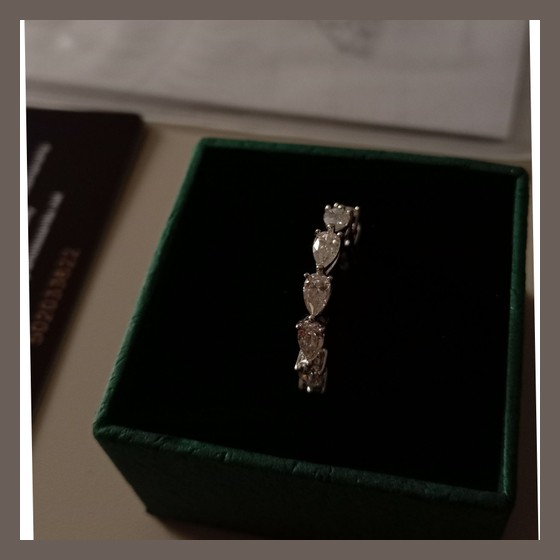 Anel n°17 Eternity Moissanite Prata Certificado GRA