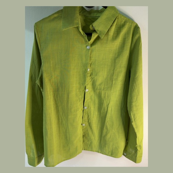 Camisa Feminina Verde Manga Longa com Peplum
